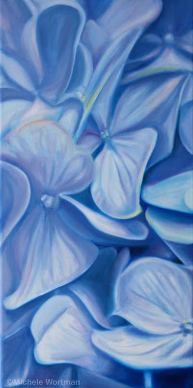 Float 2004