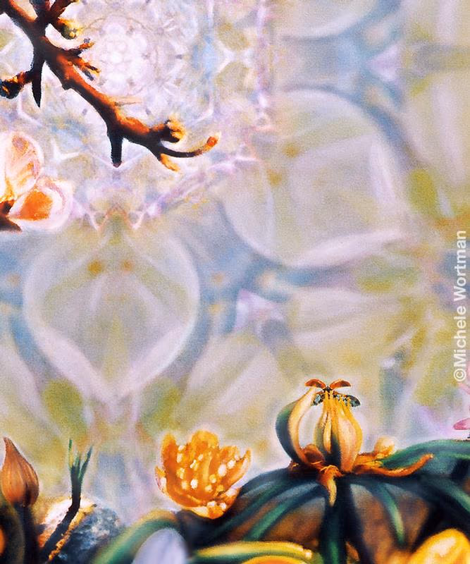 Spring 2006 detail
