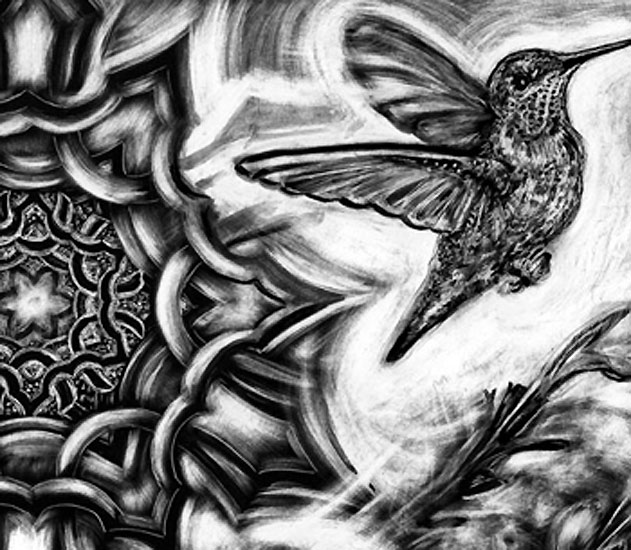 Hummingbird
