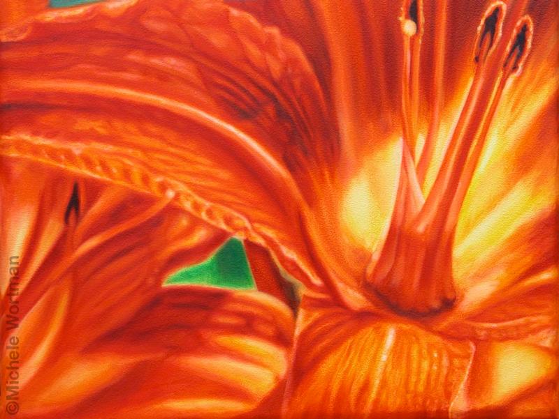 Orange lily 2004