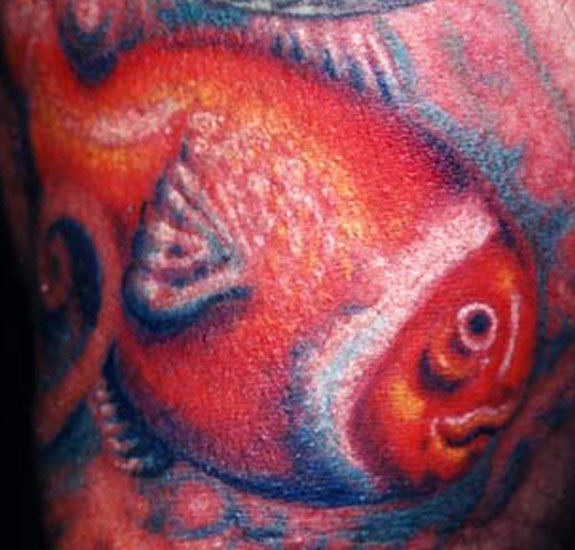 Clown Fish