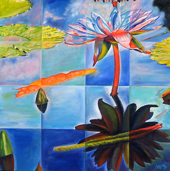 Lotus Reflections