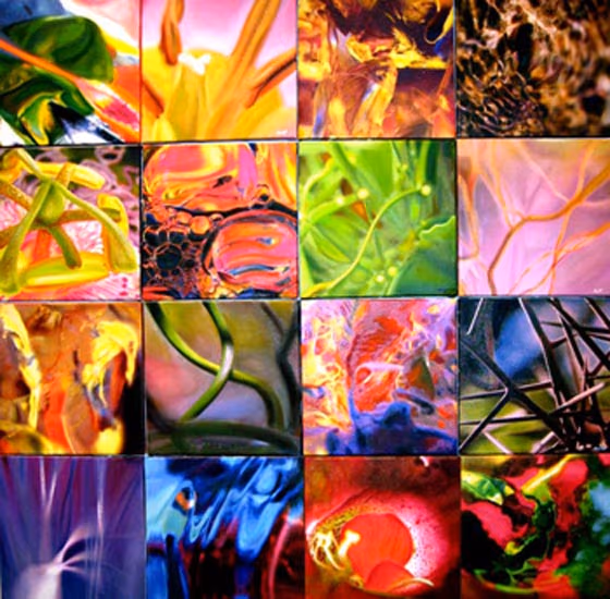 Organic Art Collection