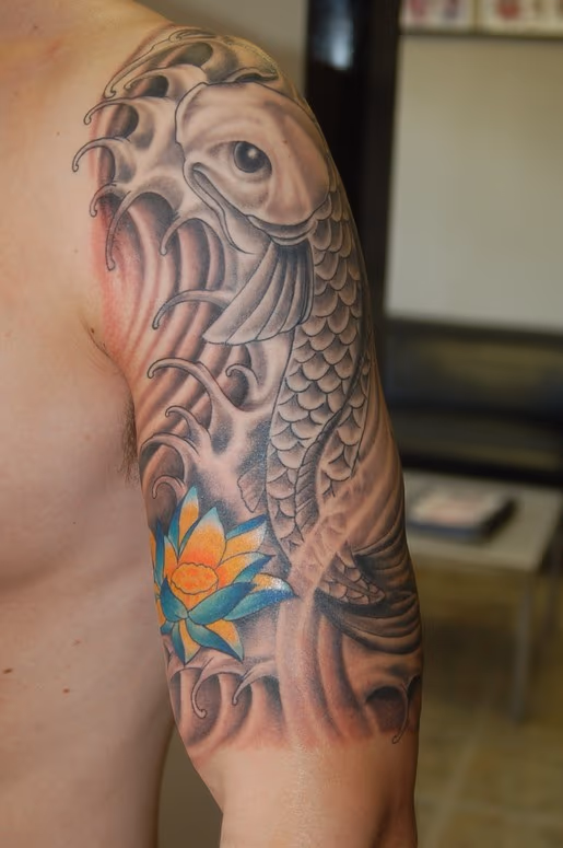 Koi fish and Lotus