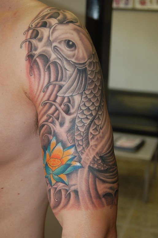 Koi fish and Lotus