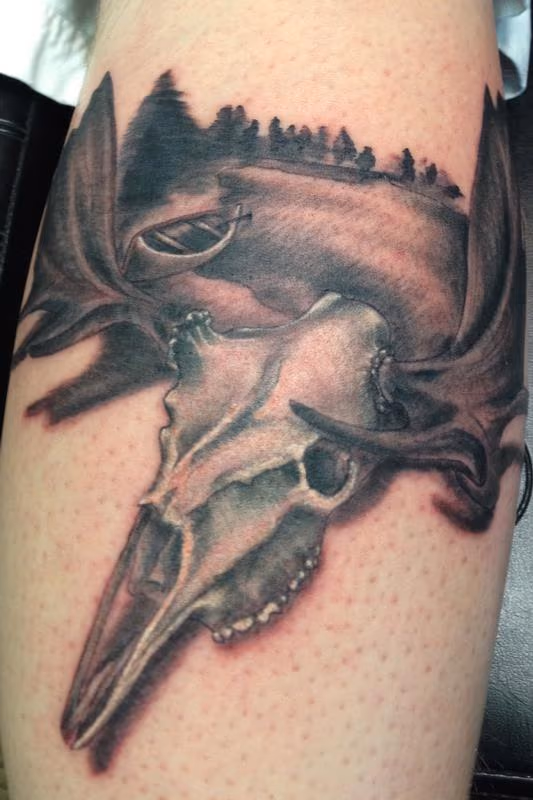 Moose Skull