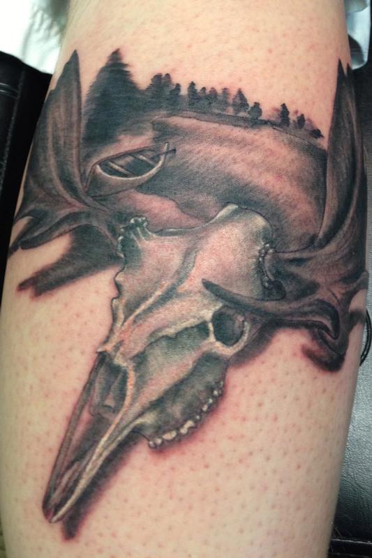 Moose Skull