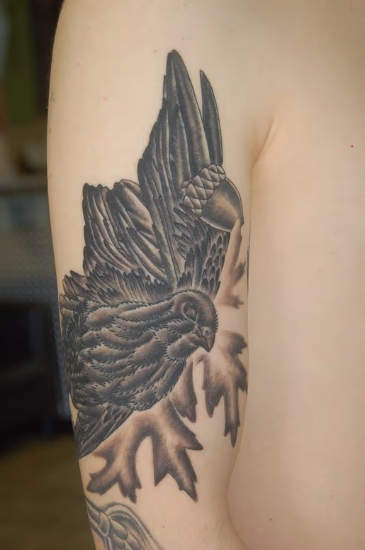 Dead Bird , acorn and leaves