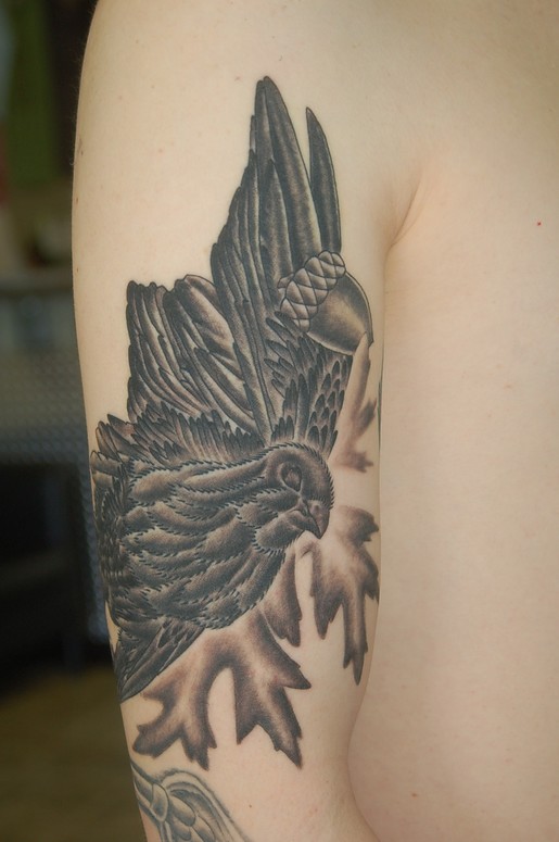 Dead Bird , acorn and leaves
