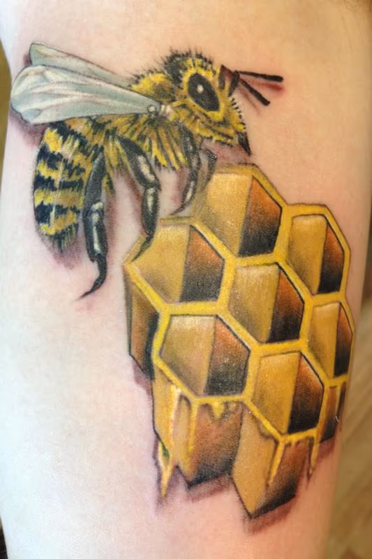 Bee with honeycomb