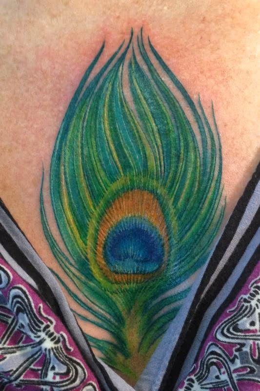 Peacock Feather