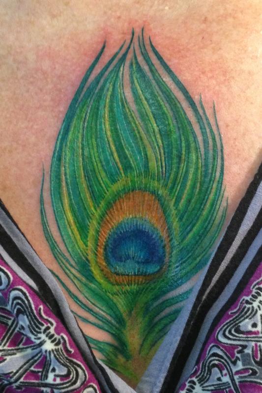 Peacock Feather