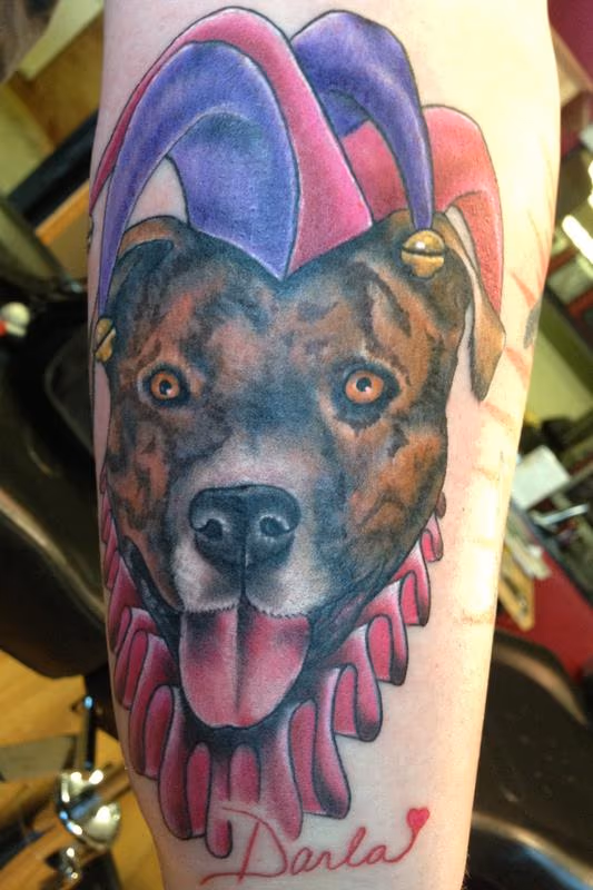 Jester Dog