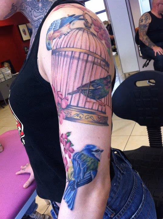 Birds