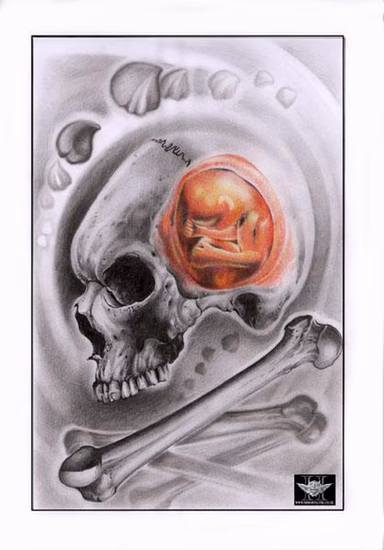 Skull Fetus Art