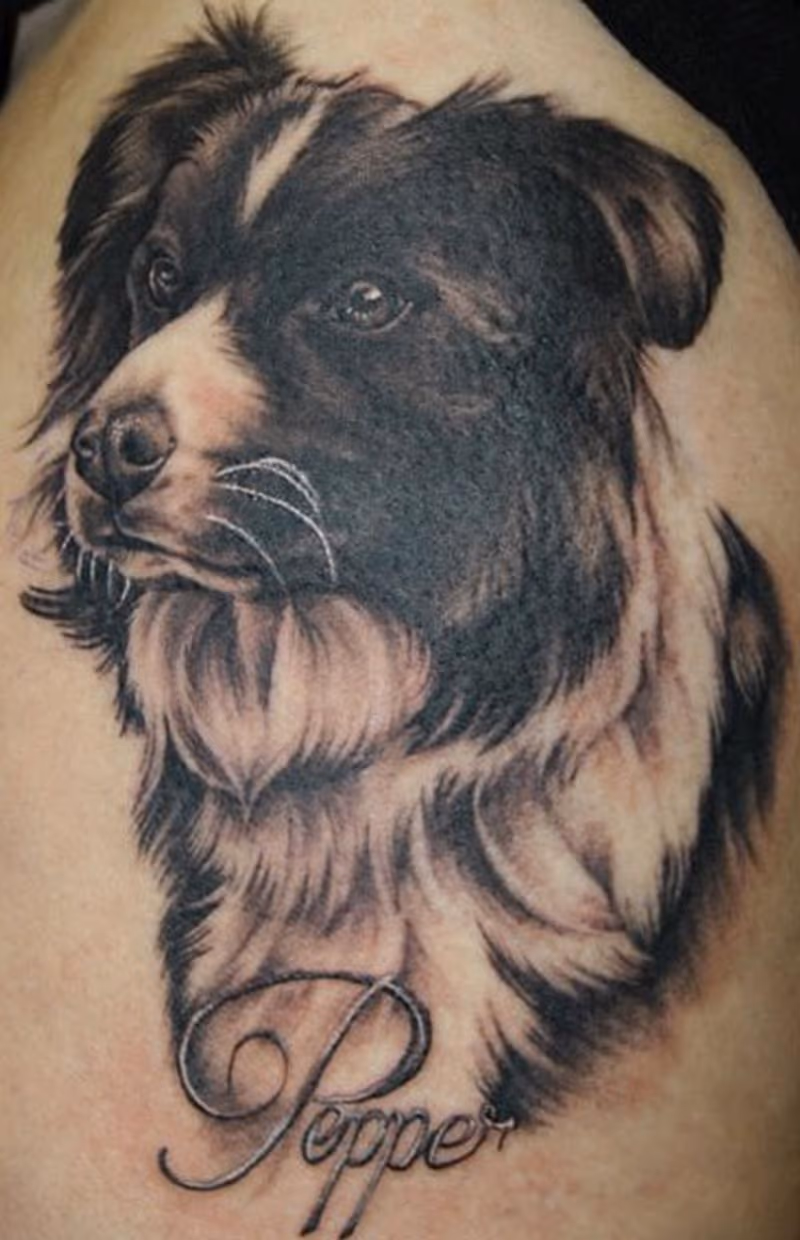 Border Collie Dog Tattoo