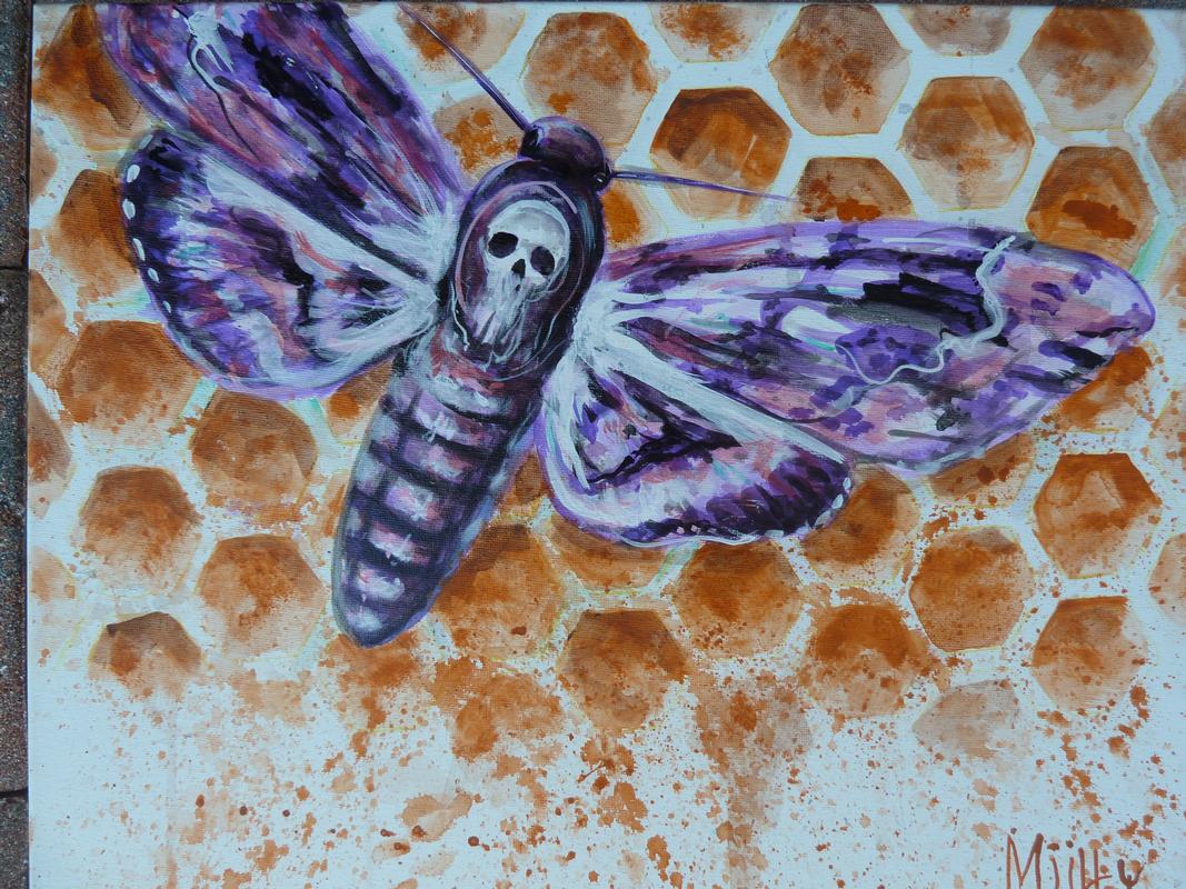 Honeycomb