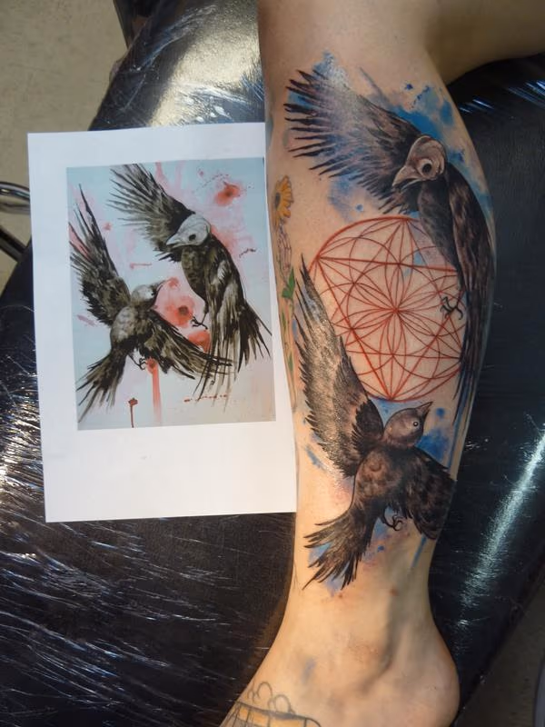 The birdfight