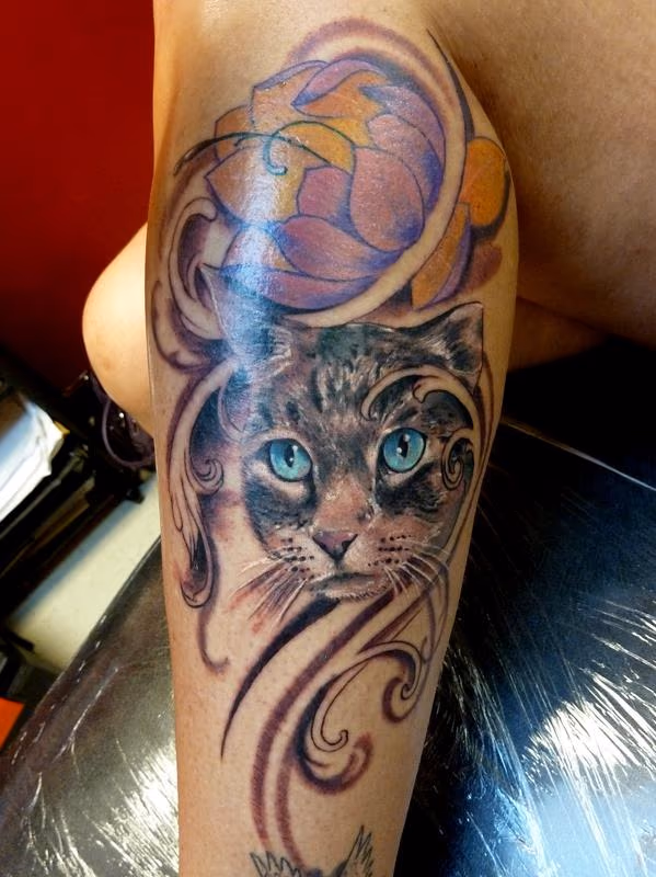 Cat tattoo