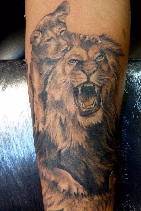 lion & cub