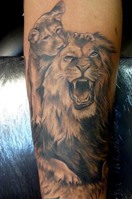 lion & cub