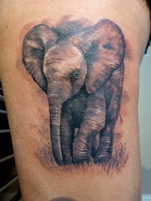 Baby elephant tattoo