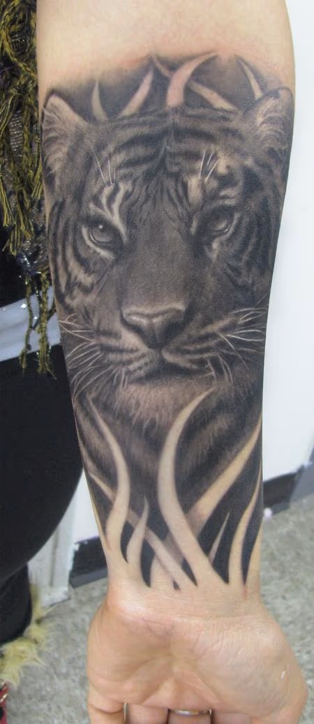 Realistic Black and Gray Tiger