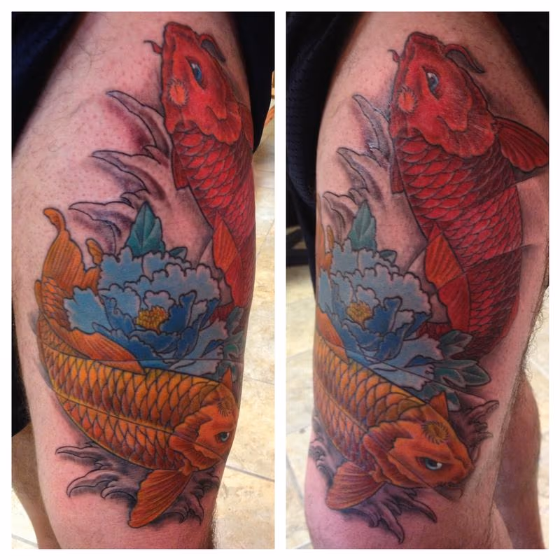 Koi