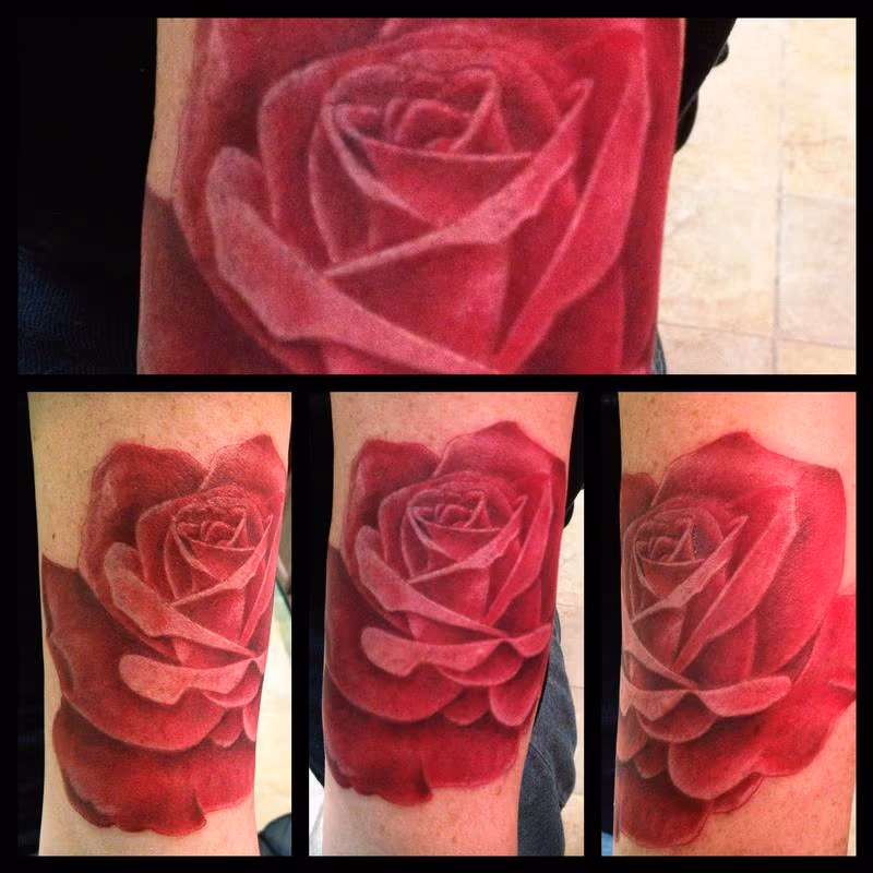 Rose