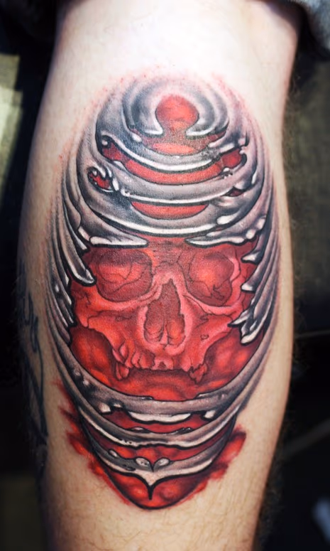 skull ribs by brian harris