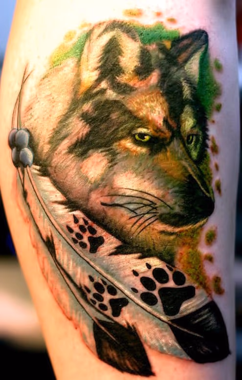 Wolf and Feathers by Brian Harris