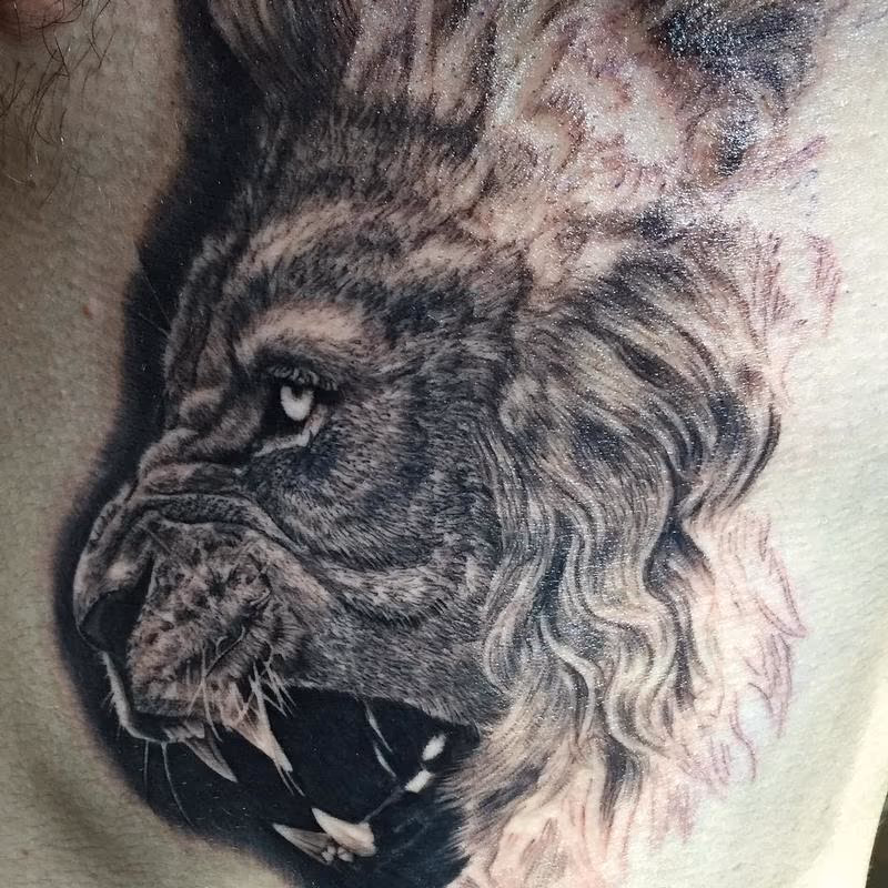 Lion In Progress