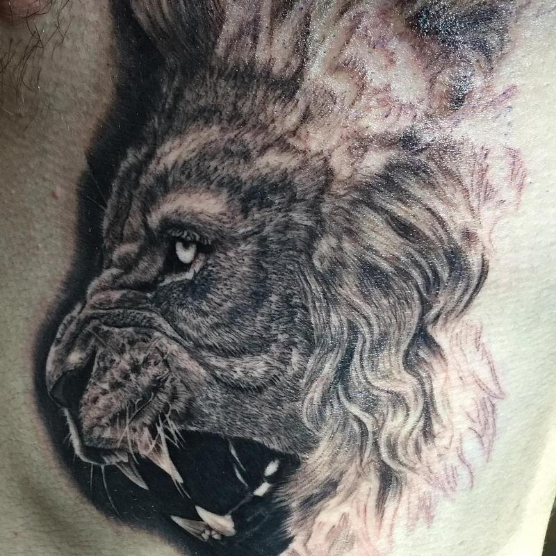 Lion In Progress