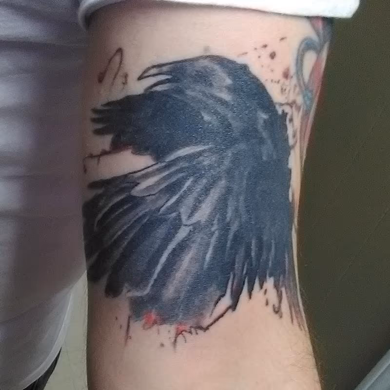 Raven cover up healed