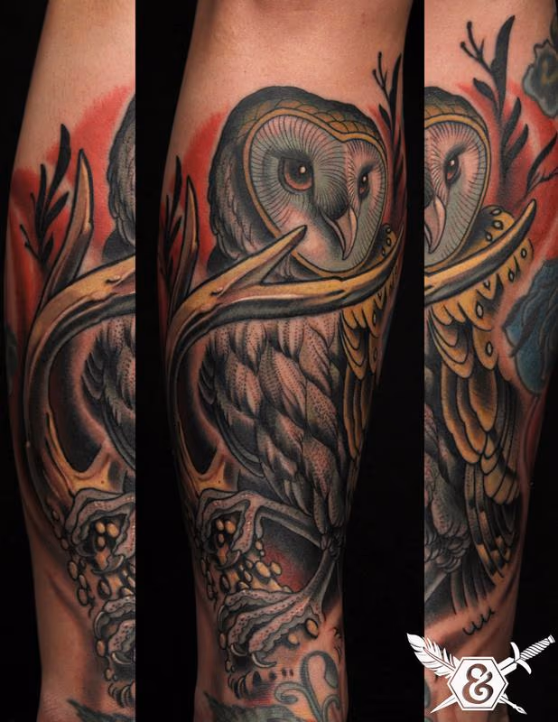 Barn Owl and Antler