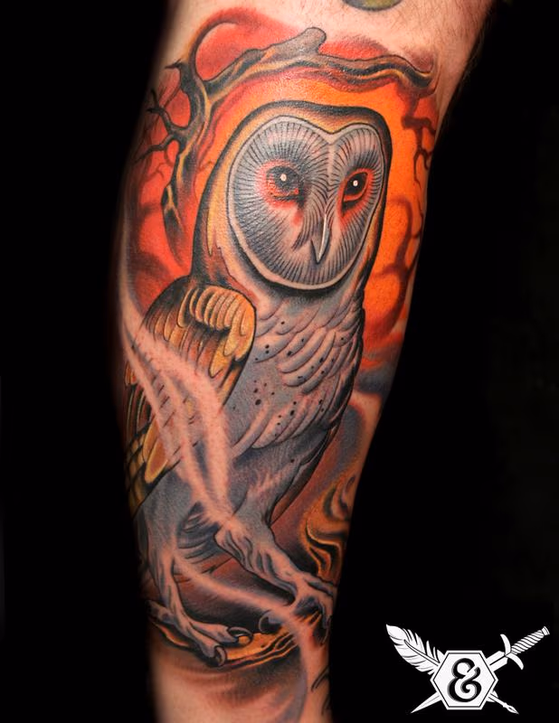 Barn Owl