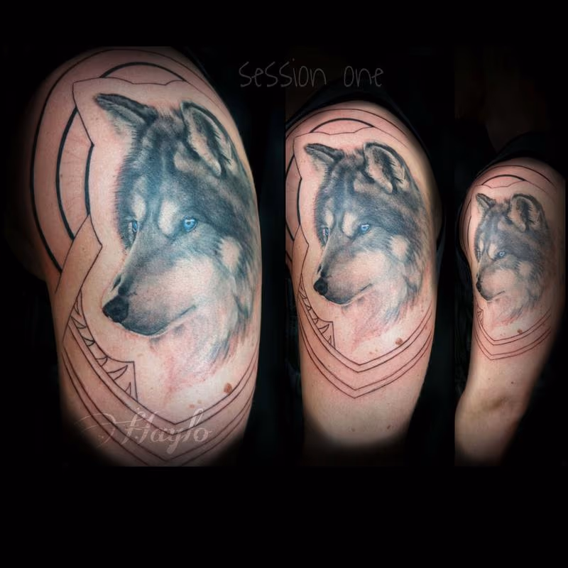 Progression of Wolf and Native american/Islander style tribal sleeve