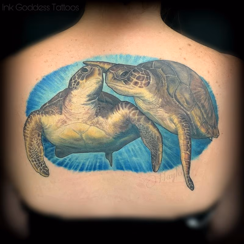 Realistic Sea Turtles In Love