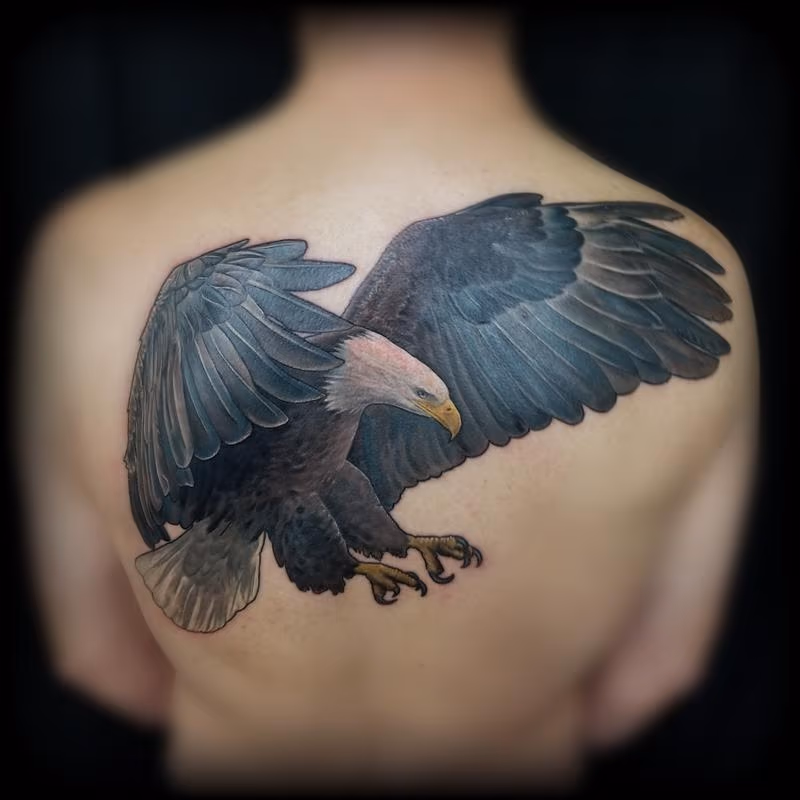 Realistic Bald Eagle Tattoo by Haylo