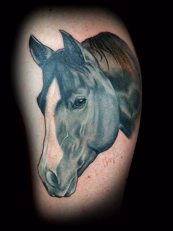 Realistic black and gray Quarter Horse head