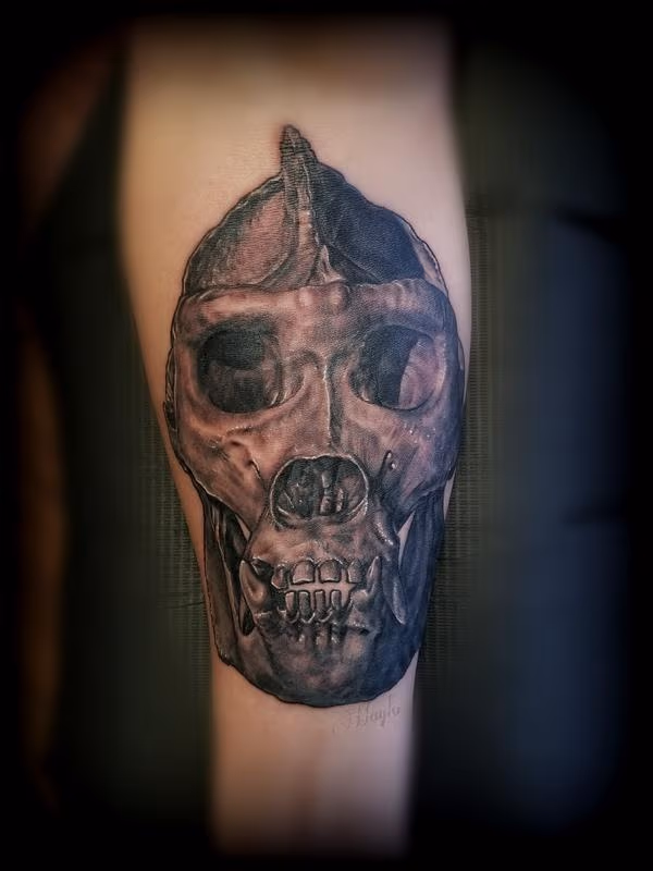 Gorilla Skull Tattoo by Haylo