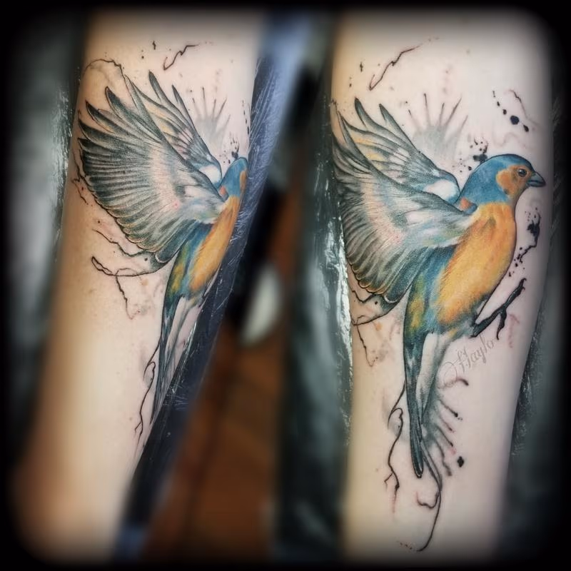 Blue and Gold finch with ink drips by Haylo