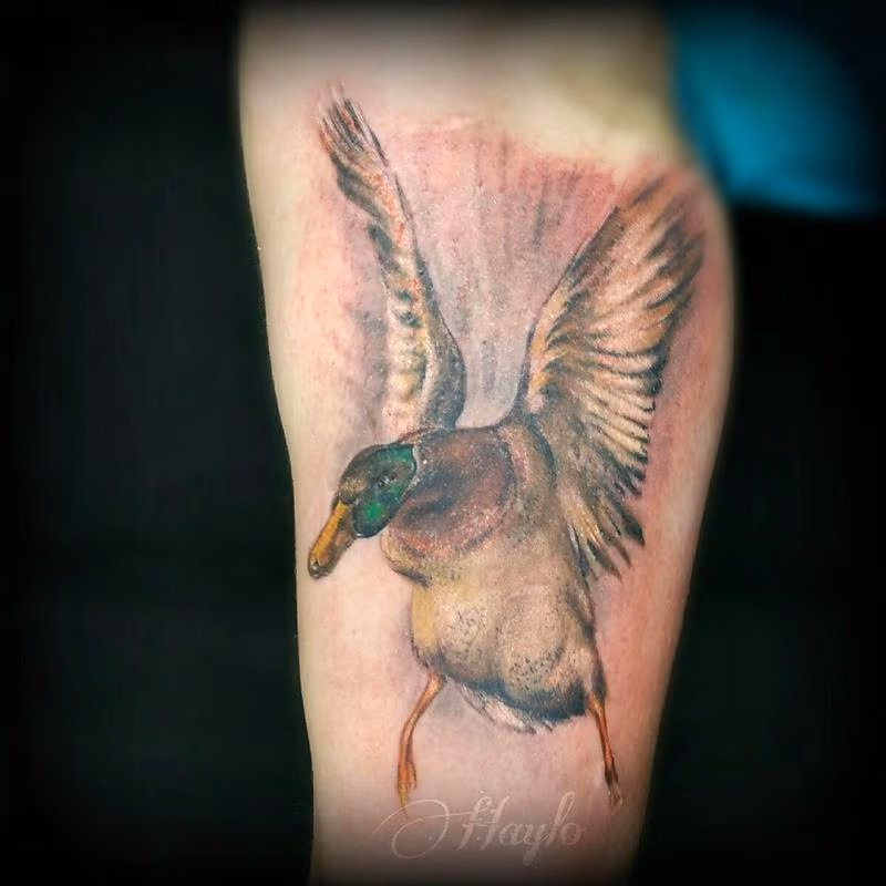 Illustrative realism mallard duck