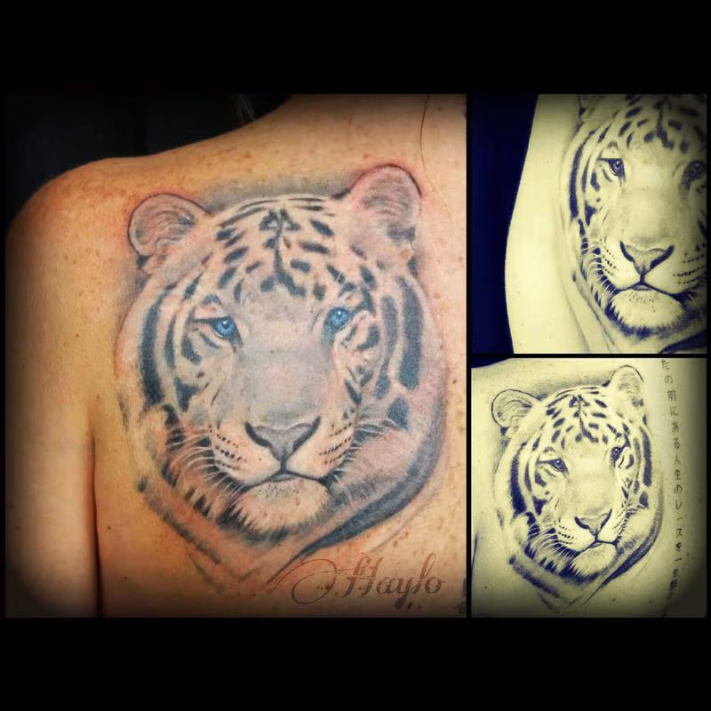 White Tiger with blue eyes