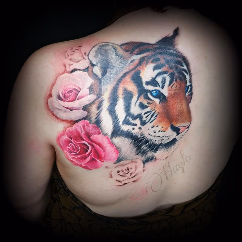 In Progress: Realistic Orange Tiger and rose should blade piece
