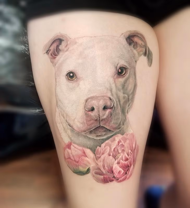 Pitbull Portrait tattoo by Haylo