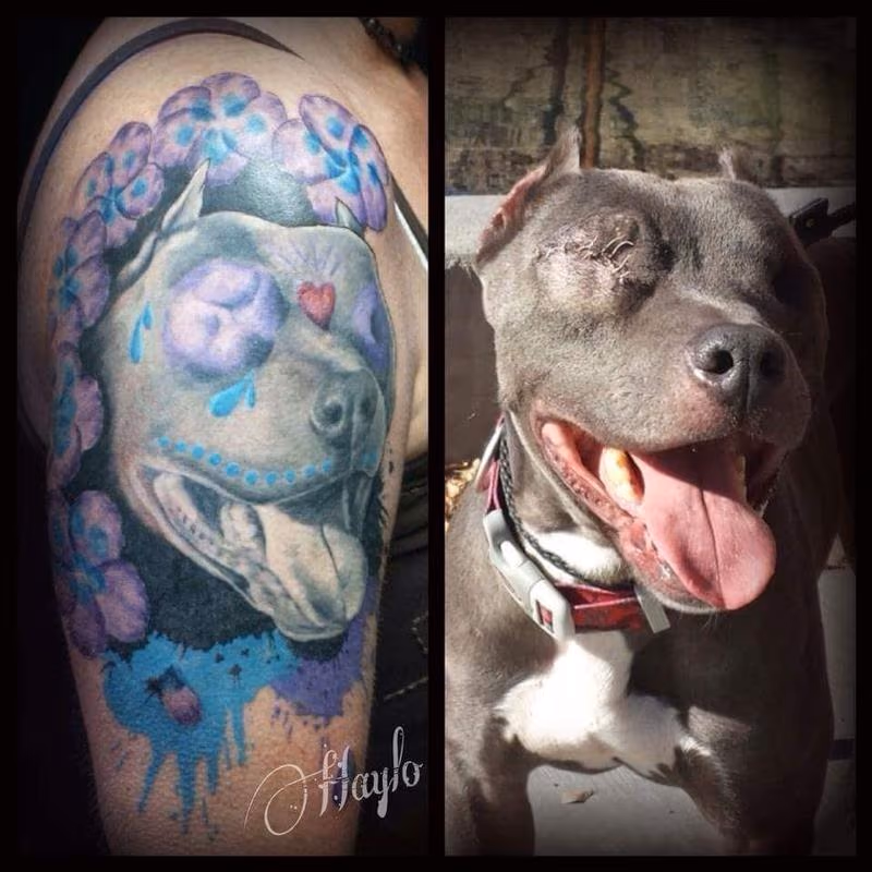 Odin, the pit bull with our eyes by Haylo