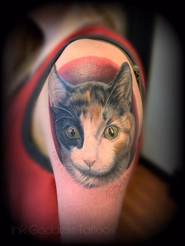 Cat Portrait tattoo by Haylo