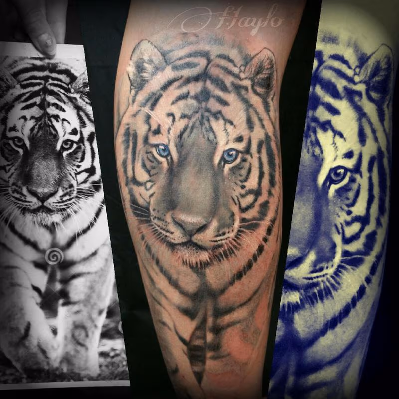 Realistic White Tiger with blue eyes