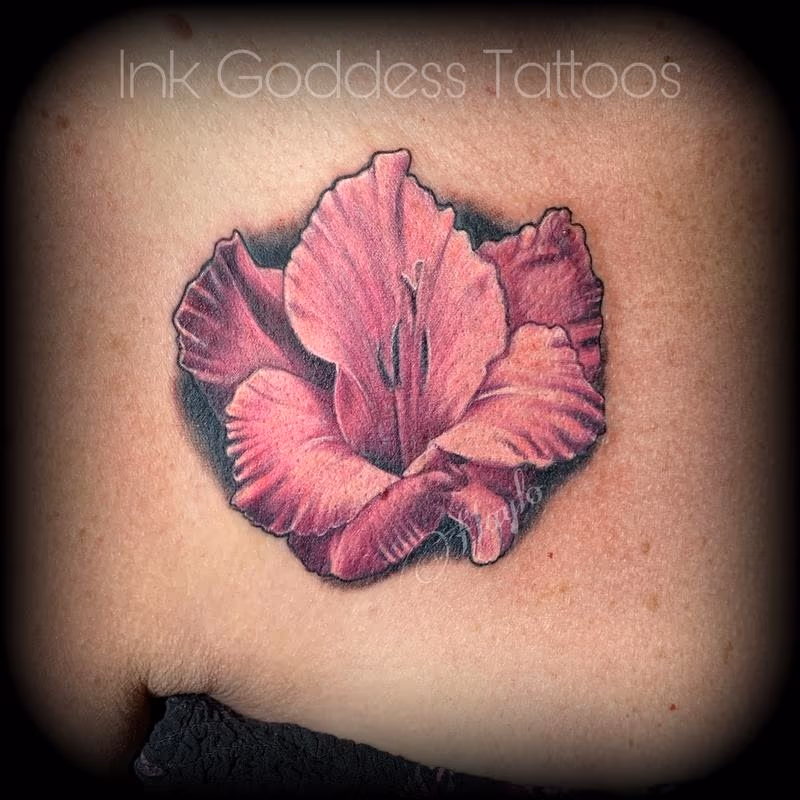 Gladiolus Floral by Haylo